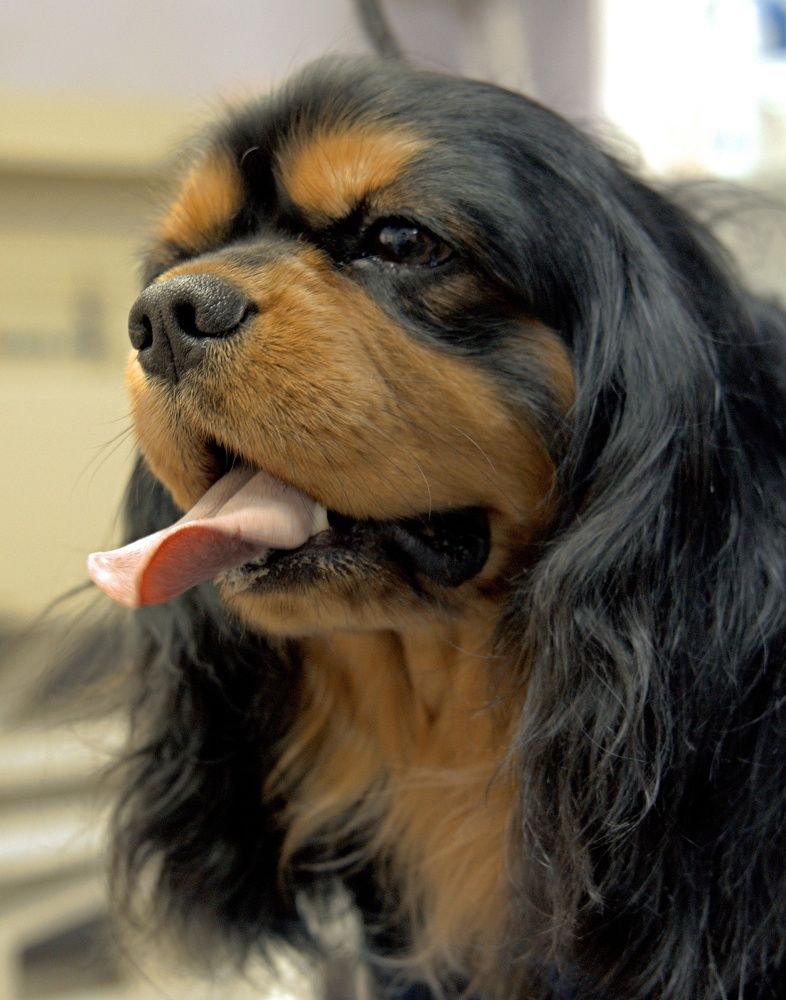 Photograph by Сергей Хохлов