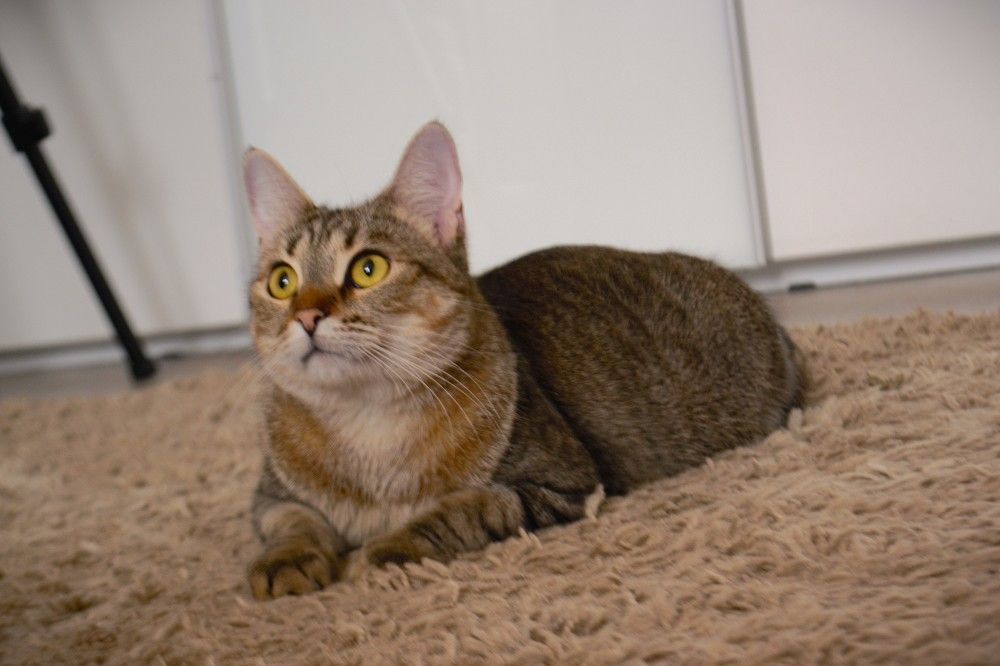 Photograph by Людмила Ваганова