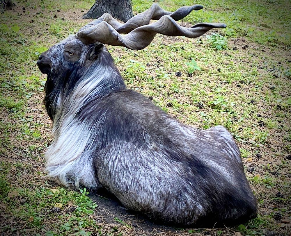 Photograph by Татьяна Шитлина