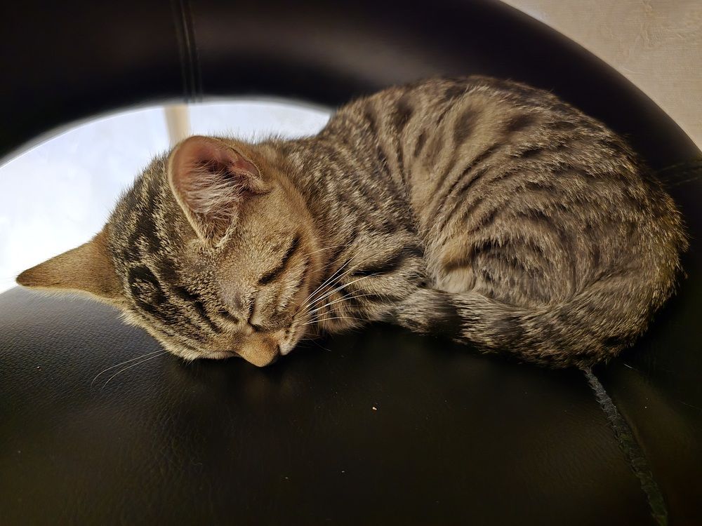 Photograph by Максим Фролов