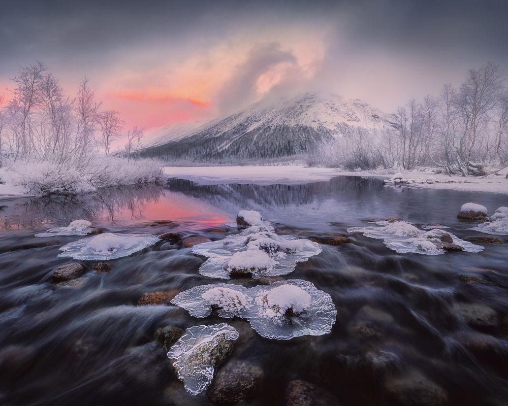 Photograph by Медянцев Дмитрий