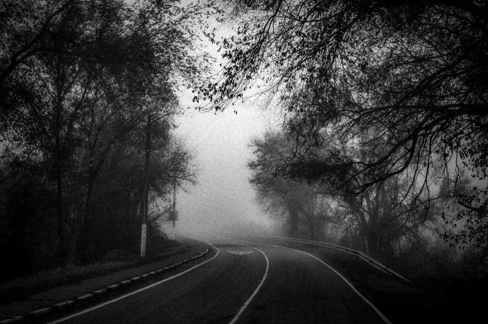 Туманная дорога