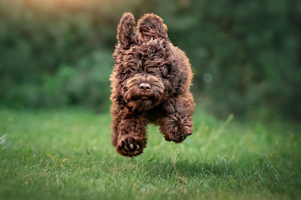 Фотография автора Оксана Серова