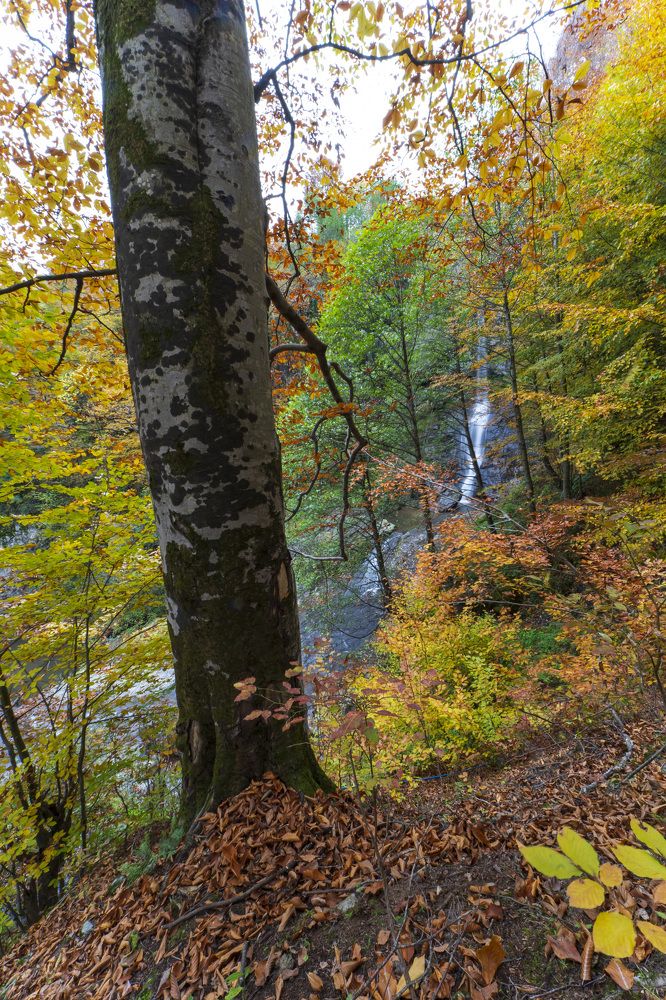 Фотография автора Ali VARILCI