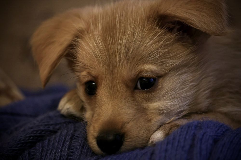 Photograph by Ольга Одаренко