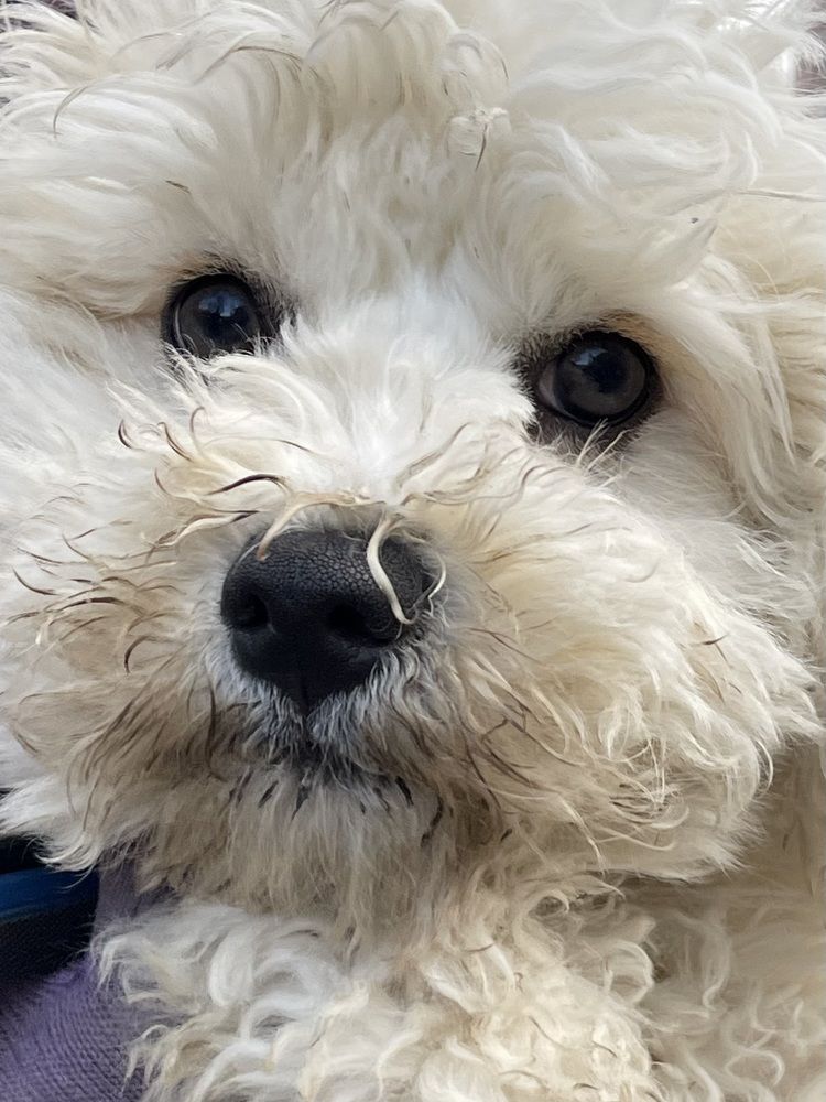 Photograph by Ольга Одаренко