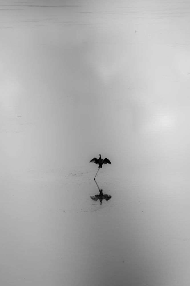 Photograph by Buket Demirel