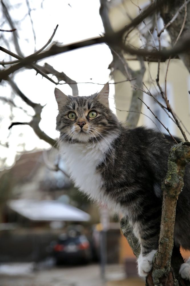 Photograph by Ольга Одаренко