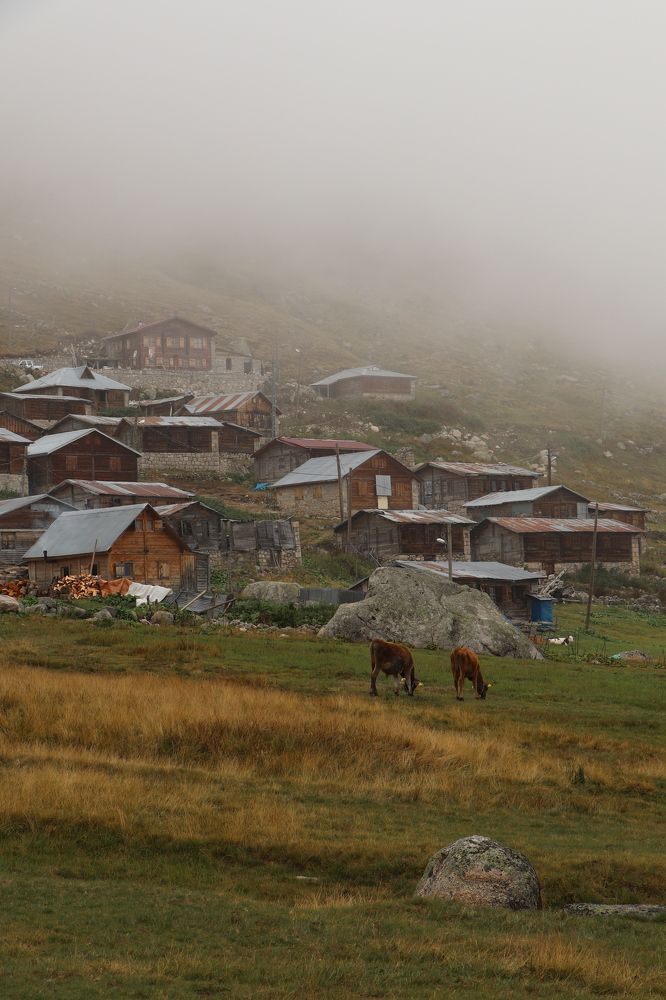 Photograph by Buket Demirel