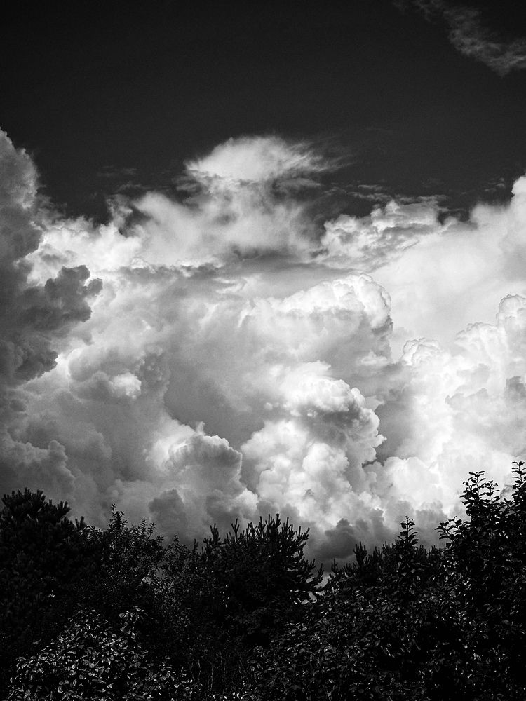 Photograph by Евстратова Оксана