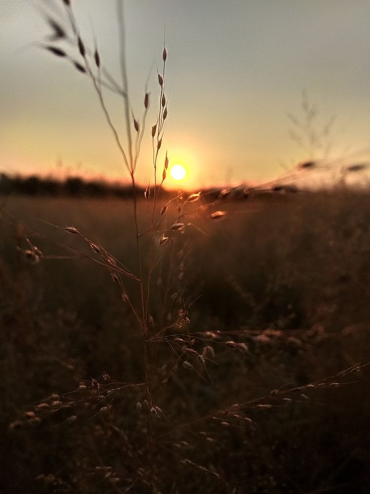 Photograph by Krushna