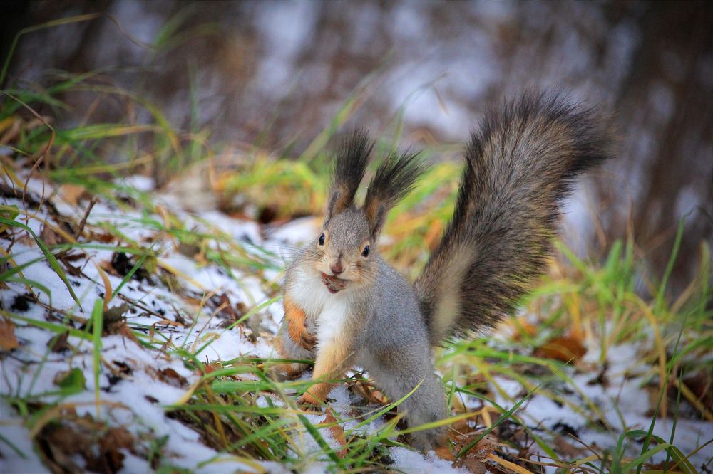 Фотография автора Ser P