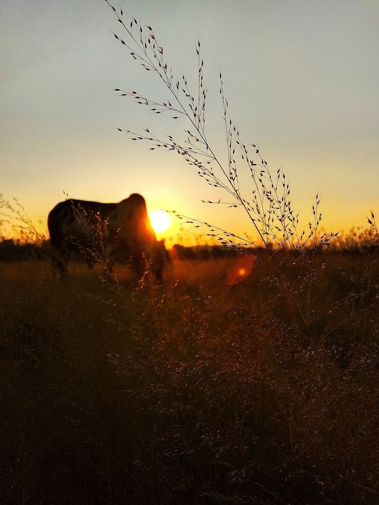 Photo #11551277