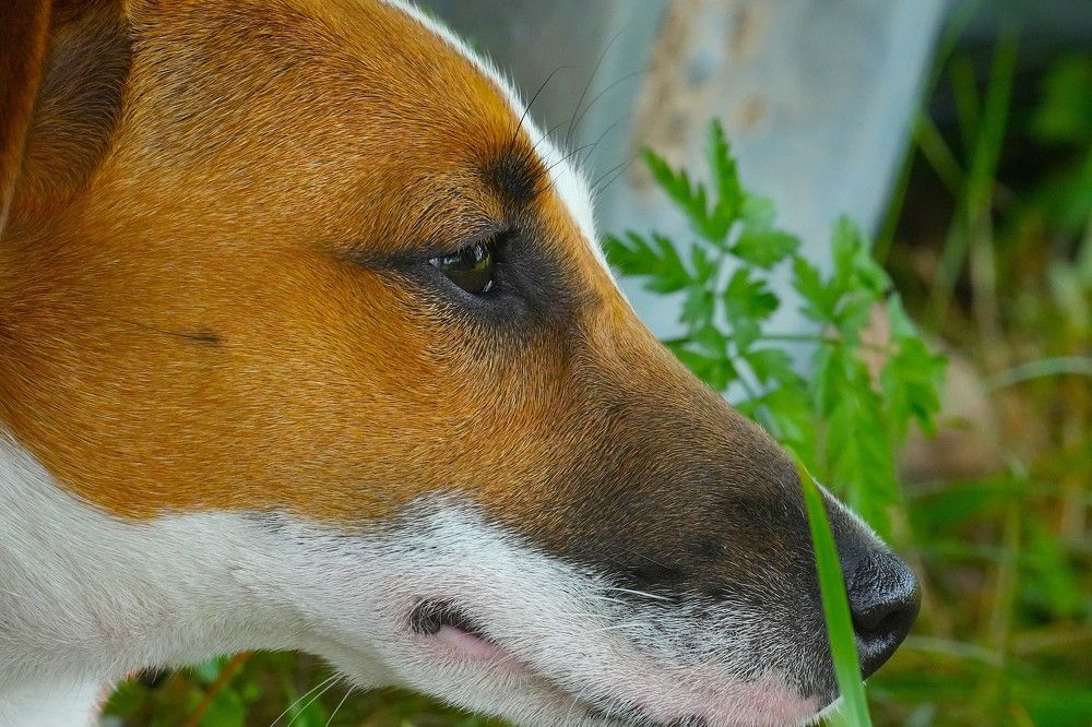 Photograph by Михаил Трусов