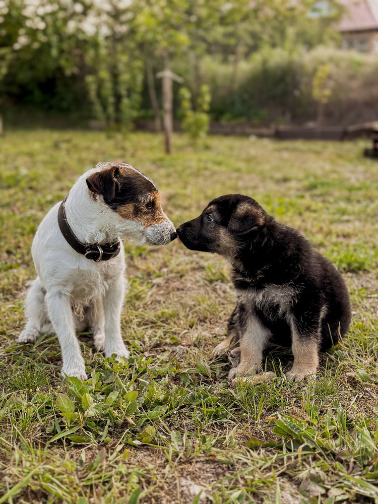 Photograph by Соколова Виктория