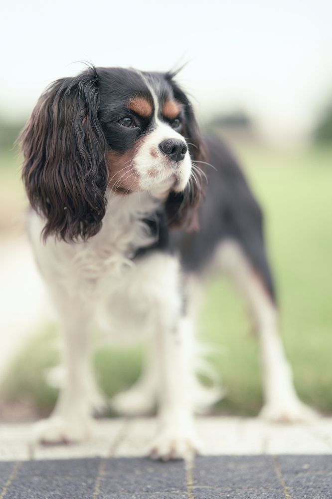 Photograph by Kusy Mariusz