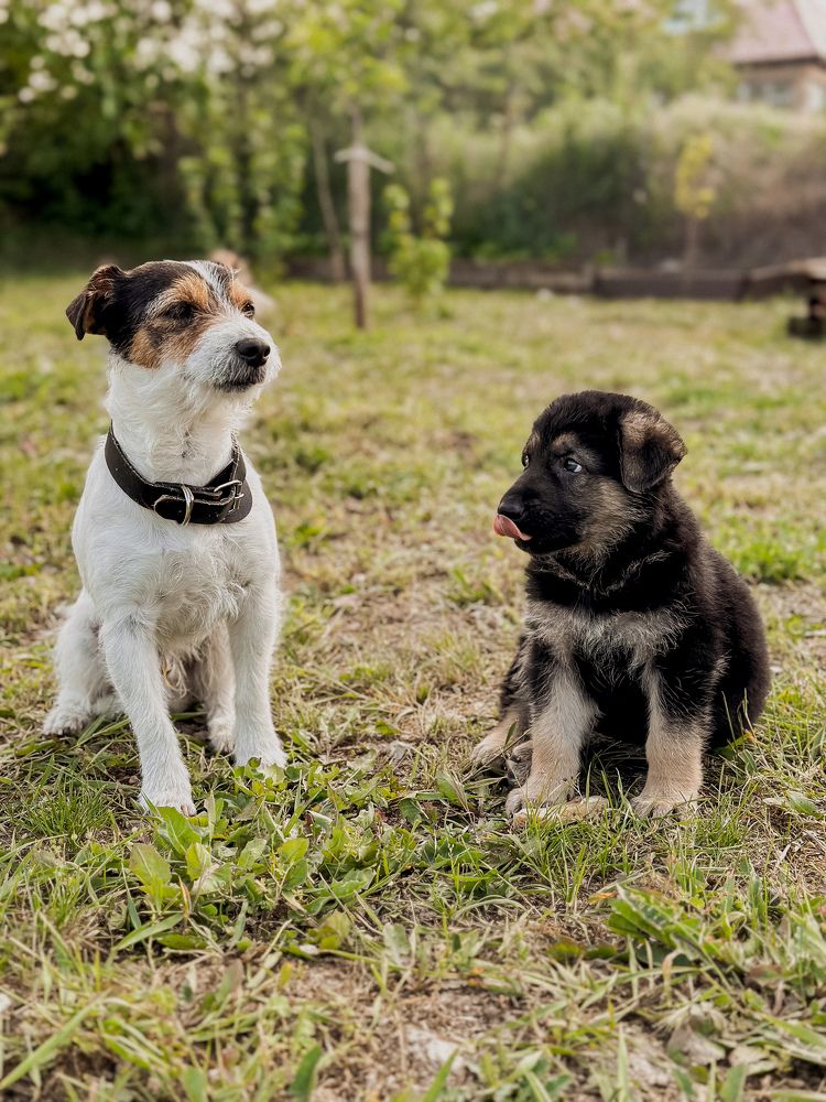 Photograph by Соколова Виктория