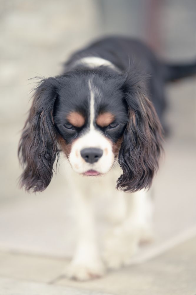 Photograph by Kusy Mariusz