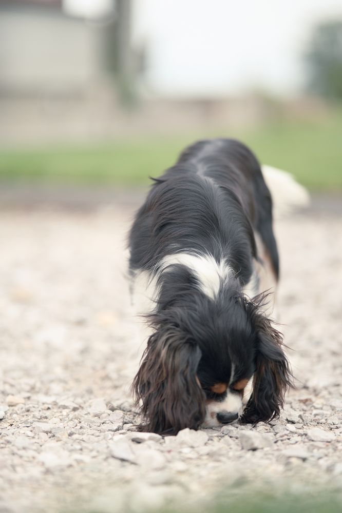 Photograph by Kusy Mariusz