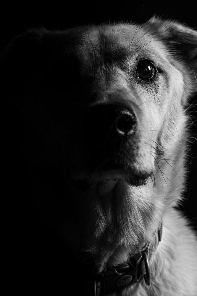 Photograph by Ивлев Артем