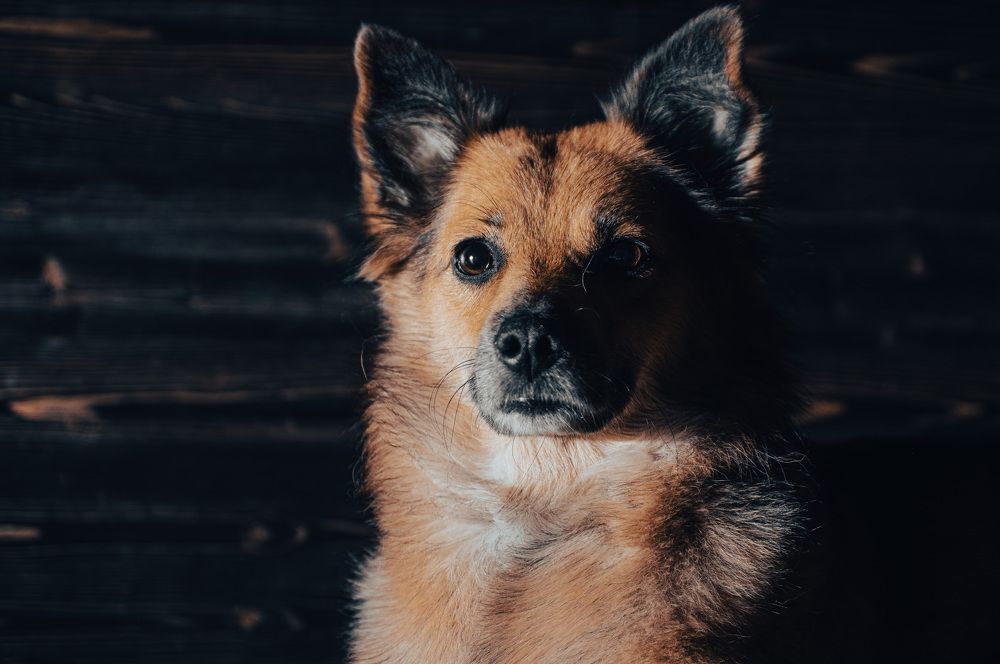 Photograph by Ивлев Артем