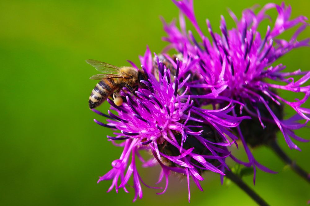 Photograph by Андрей Вешняков