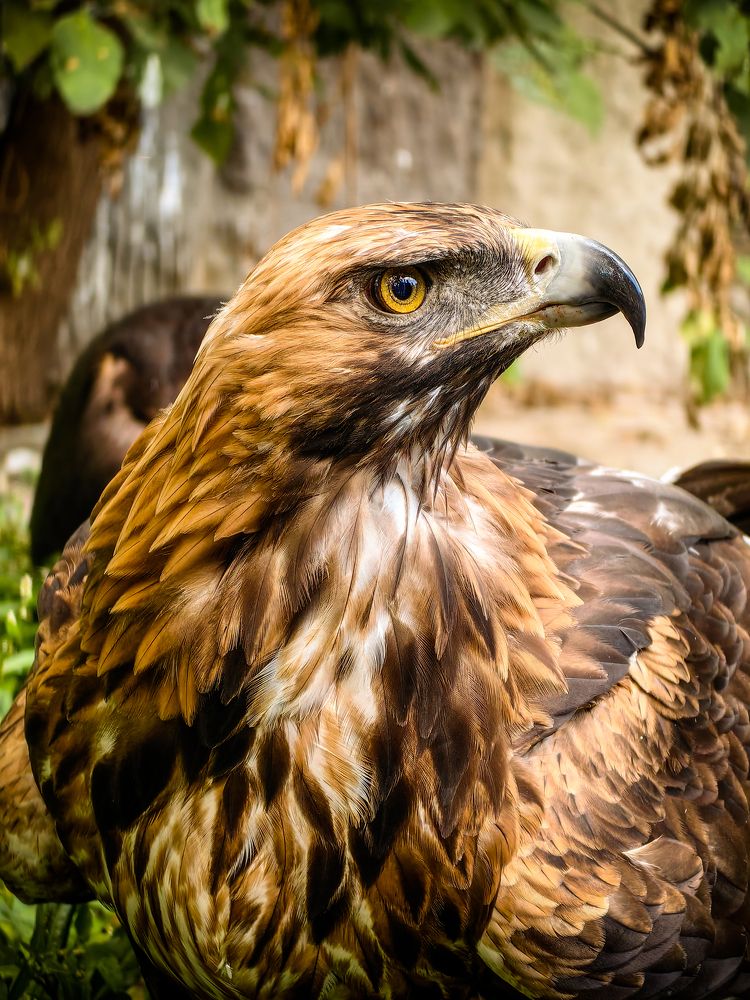 Photograph by Vitali Mikhailiuk