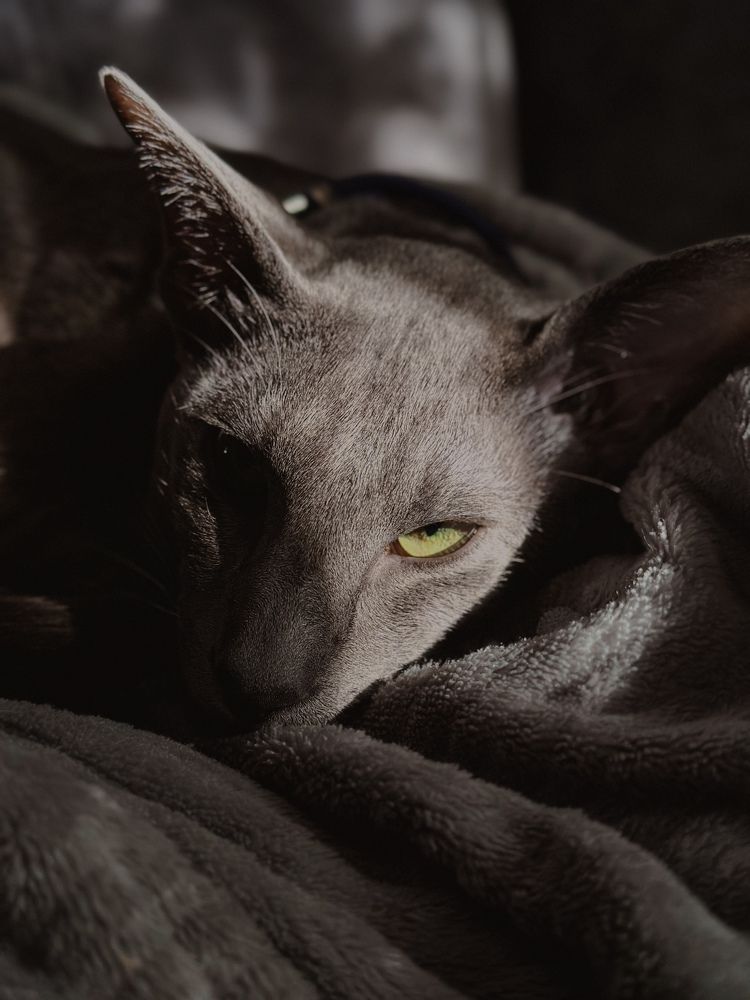 Photograph by Соколова Виктория