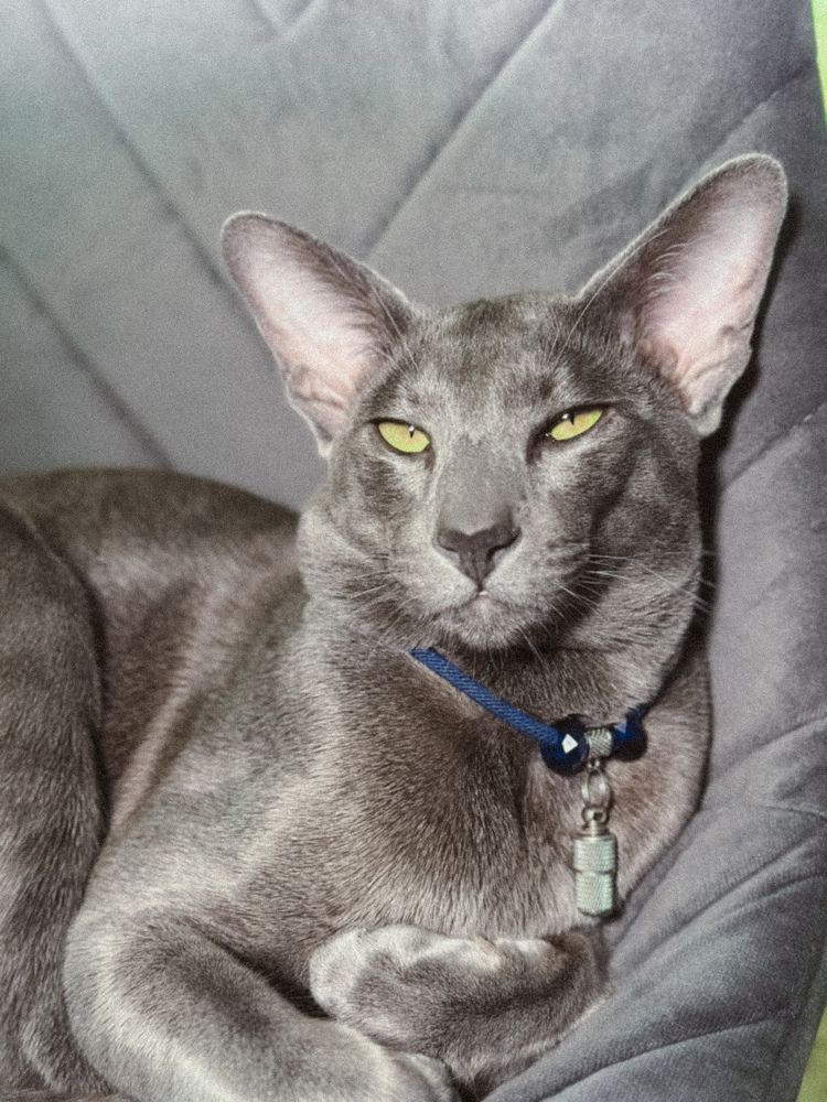 Photograph by Соколова Виктория