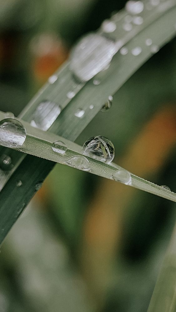 Photograph by Александра