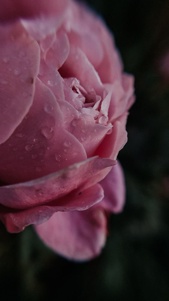 Photograph by Александра
