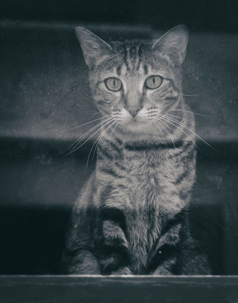 Фотография автора Lija Mežecka