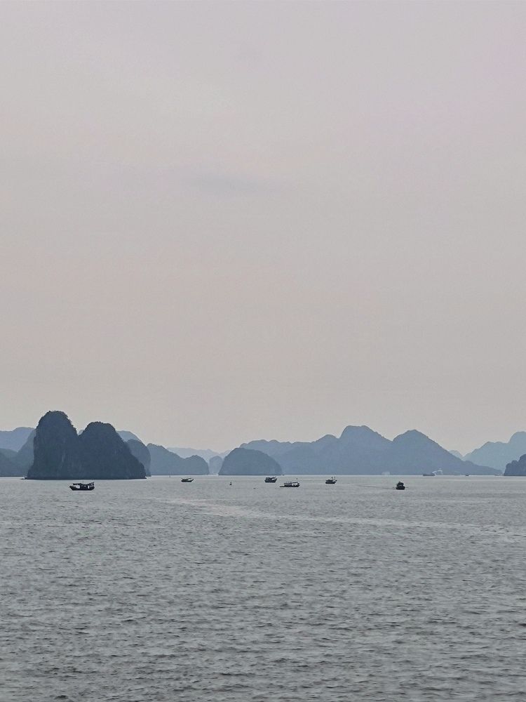 Photograph by Ksenija Bartoško