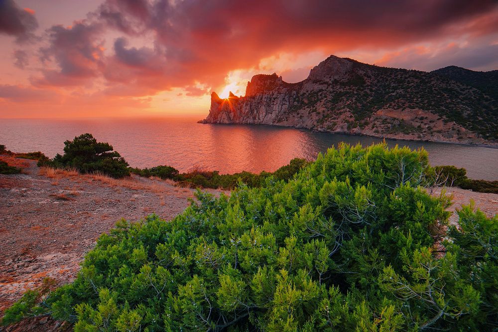 Закат в Можжевеловой роще