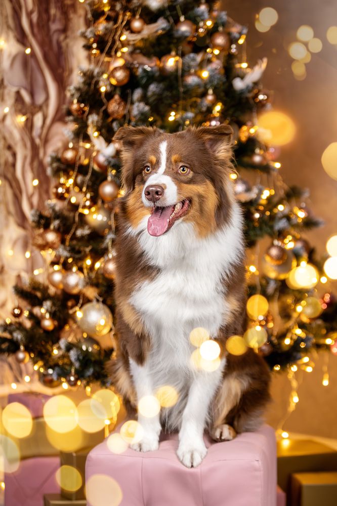 Photograph by Ирина Голомб