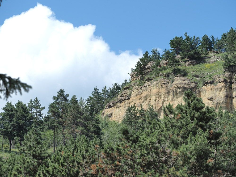 Photograph by Сергей Борисов