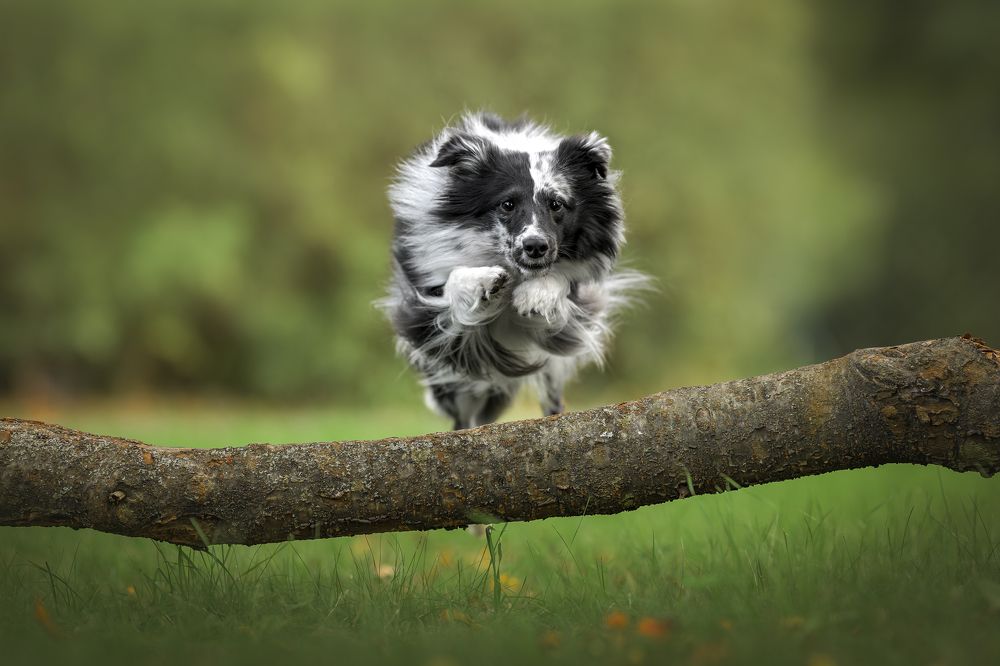 Photograph by Lucie Nermuťová