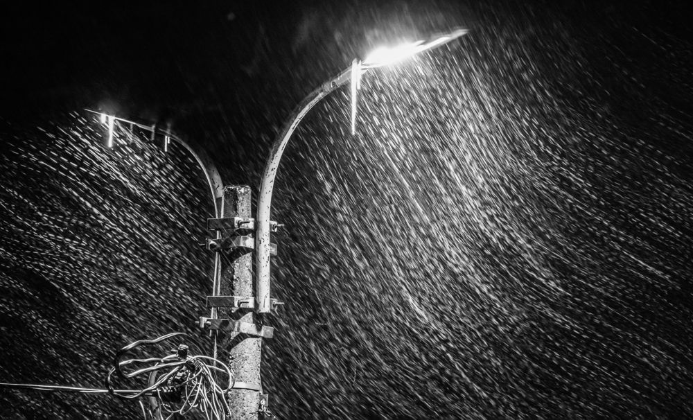 Photograph by Светлана Карнаух