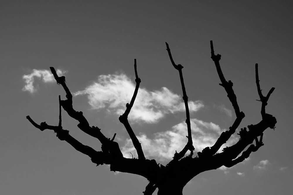 Фотография автора Артем Ковальский