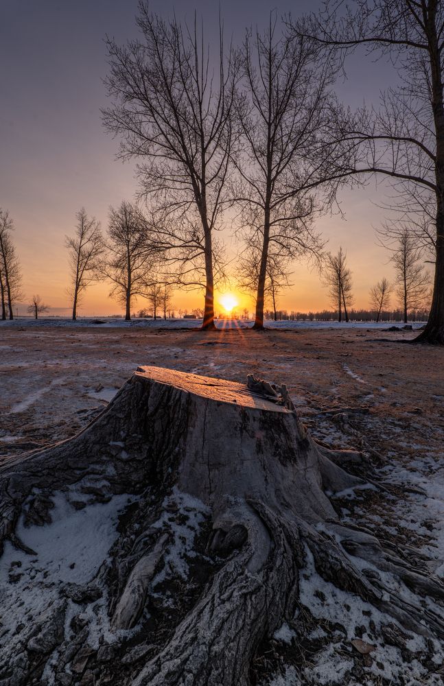 Photograph by Chen Chen