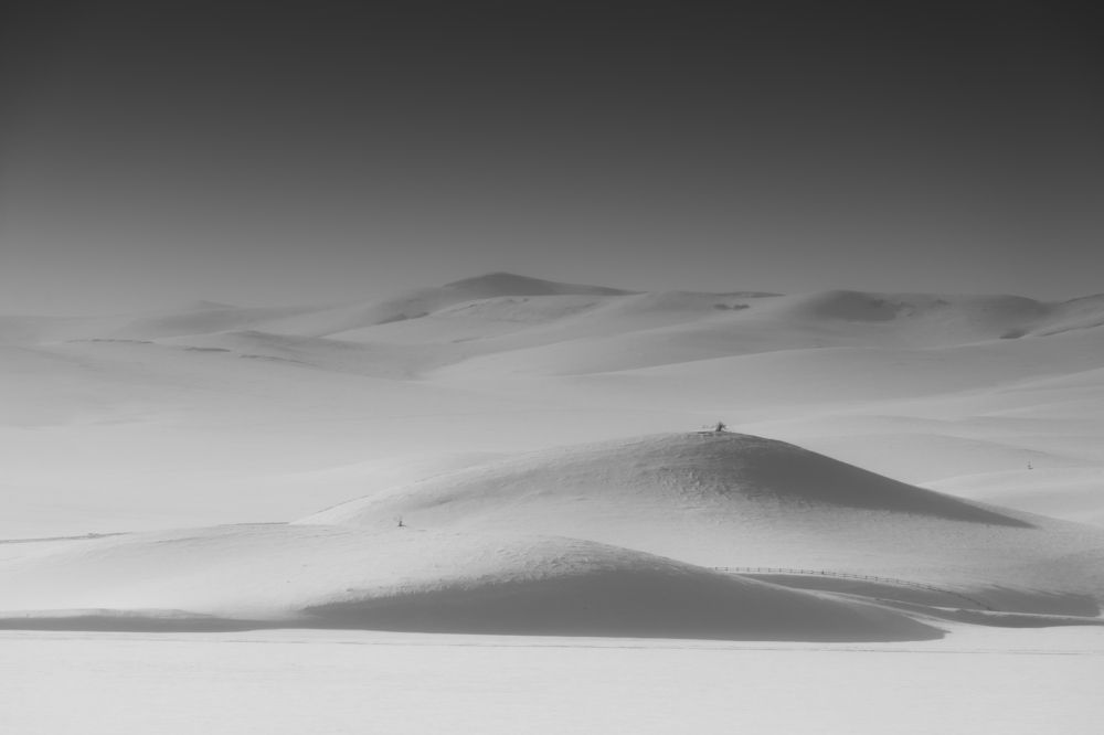 Photograph by Chen Chen