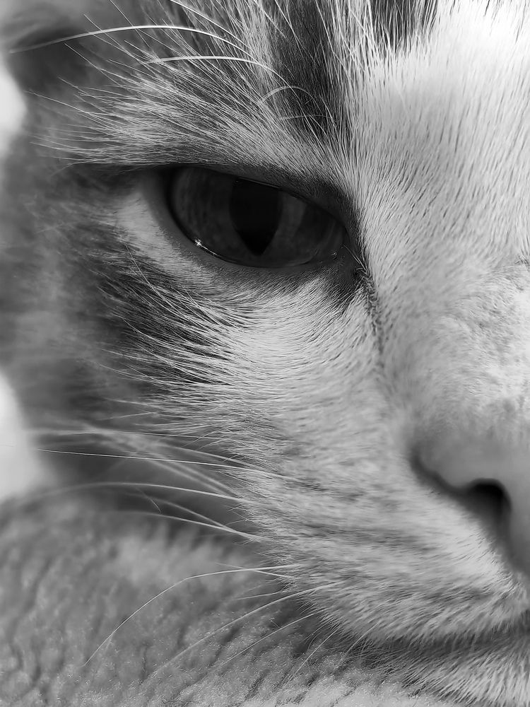 Photograph by Анастасия Доронкина