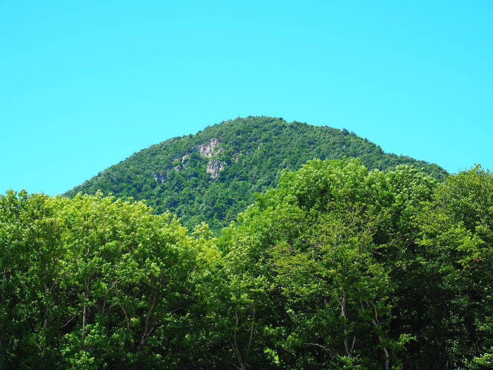 Photograph by Сергей Борисов