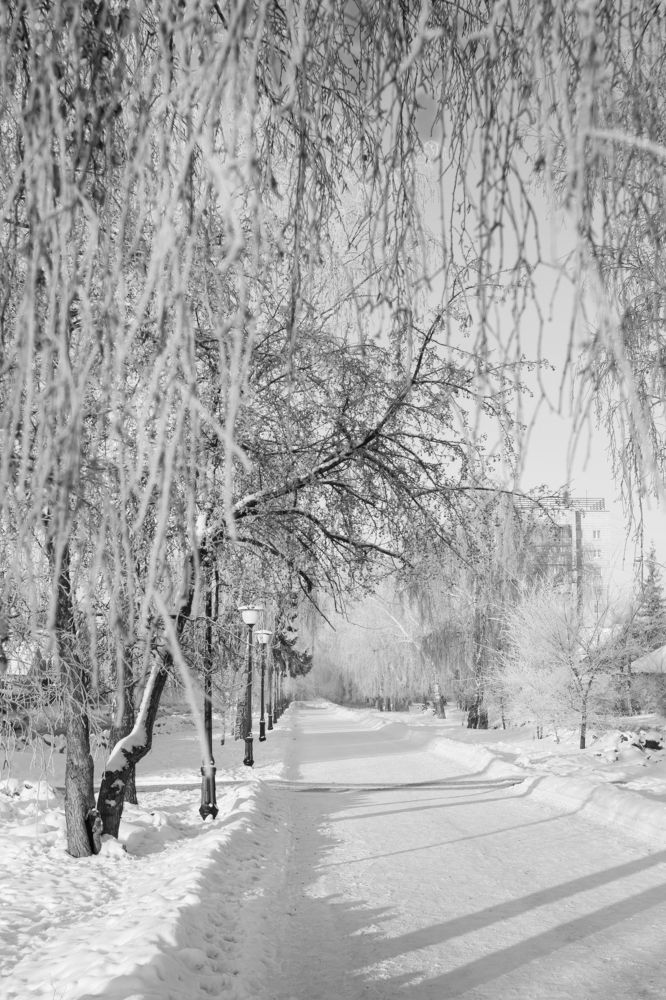 Photograph by Татьяна Шахматова