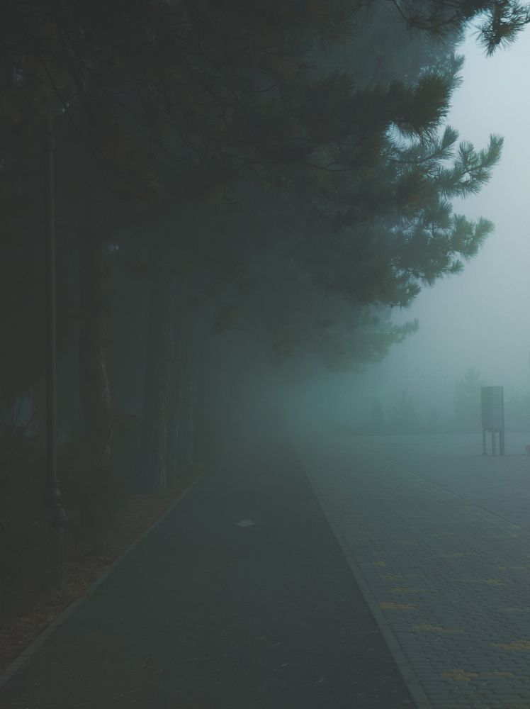 Photograph by Сергей Пыдык