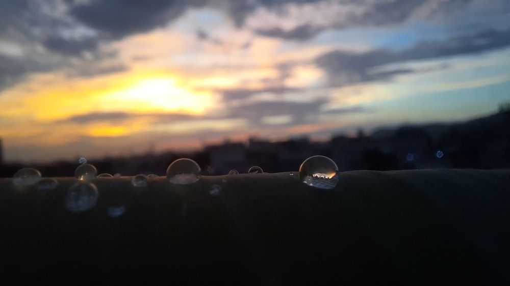 Photograph by Khushi Vashisth