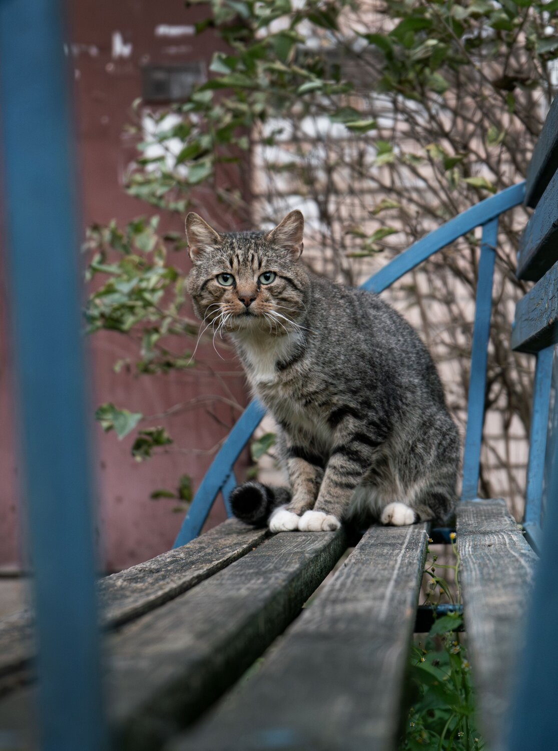 Photo #11551673