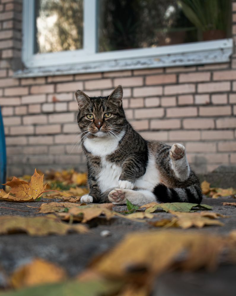 Photograph by Evgeny Ilyin