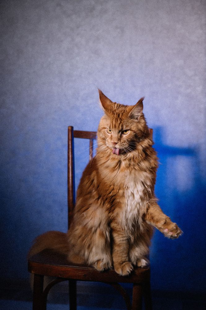 Photograph by Светлана Субботина