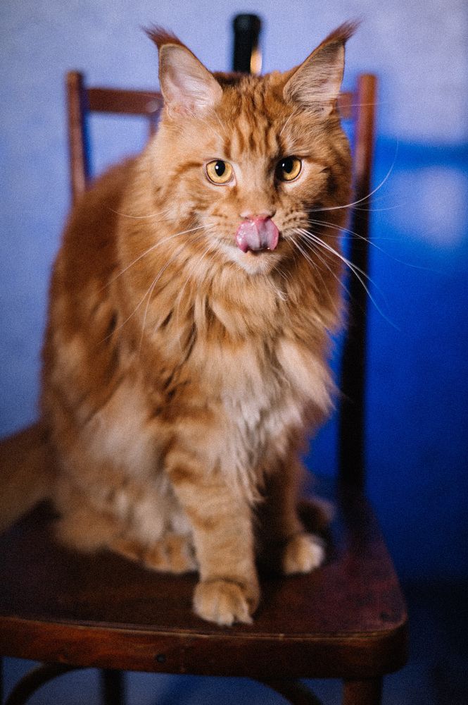 Photograph by Светлана Субботина